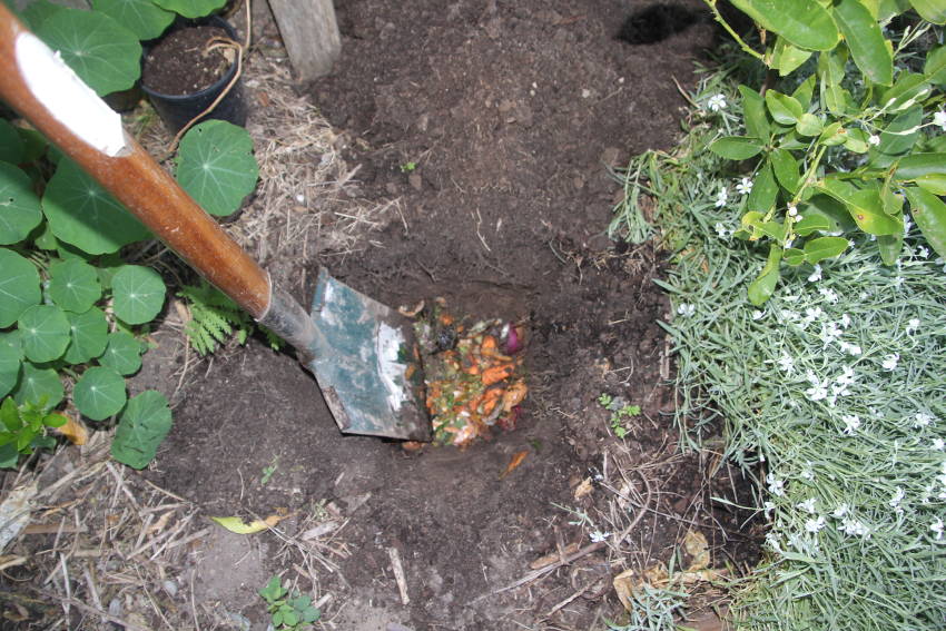 Compost Holes5